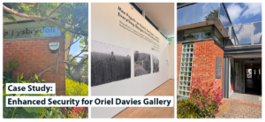 oriel davies gallery